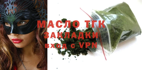 шишки Надым