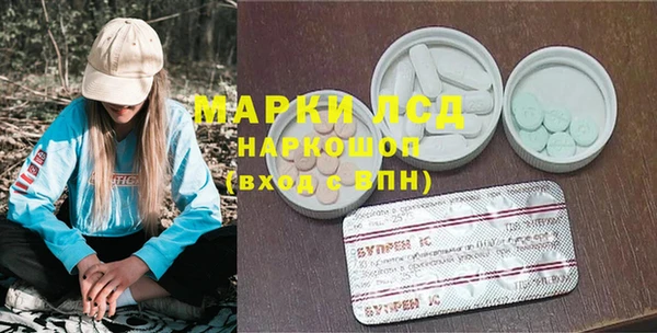 шишки Надым