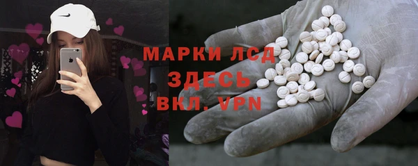 шишки Надым