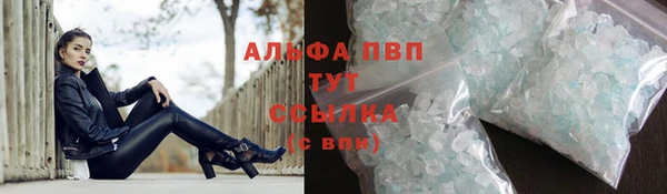 шишки Надым