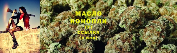 шишки Надым