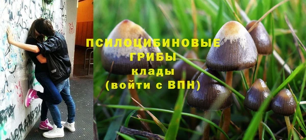 шишки Надым