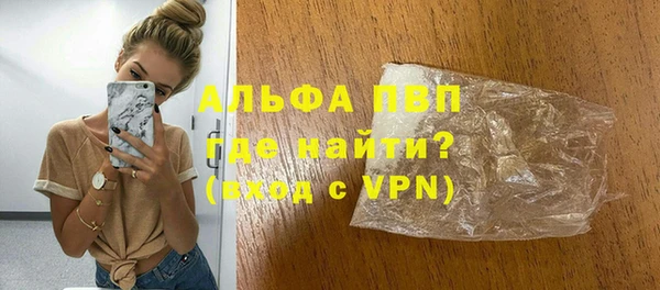 шишки Надым