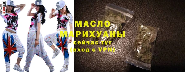 шишки Надым