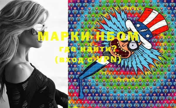 шишки Надым