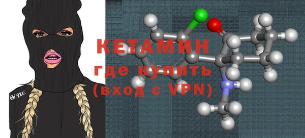 шишки Надым