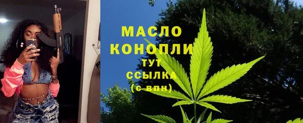шишки Надым