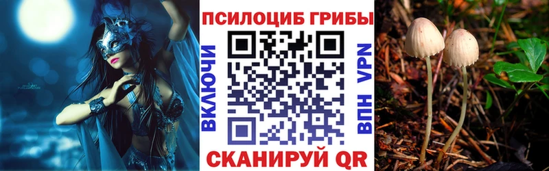 Псилоцибиновые грибы Magic Shrooms Шебекино