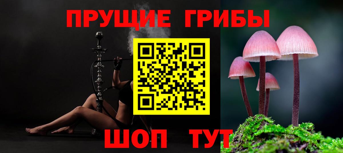 Галлюциногенные грибы ЛСД  Вход с VPN  Шебекино 